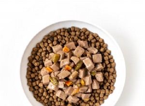3 Proven Benefits of Mixing Wet and Dry Dog Food for Your Pup