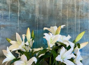 Lily Poisoning in Cats: RSPCA Urges Pet‑Friendly Flowers for Mother’s Day