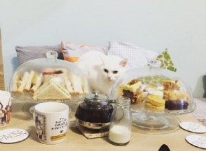 Japan s Ultimate Cat Lover s Guide: Expert Travel Tips & Must-See Spots