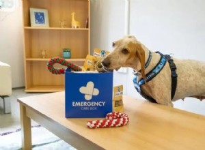 Donate an Emergency Care Box This Christmas – Save a Pet’s Life