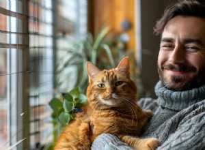 Officially Recognize Your Cat as an Assistance Animal: Step‑by‑Step Guide
