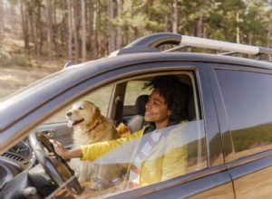 Dog Motion Sickness Explained: Recognize Symptoms & Provide Comfort