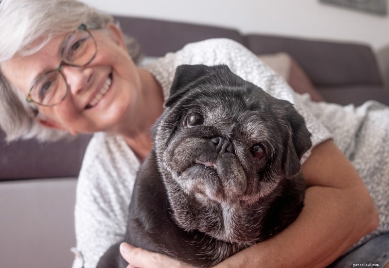 Topp 7 beprövade höft- och ledtillskott för hundar:Expertutvalda och veterinärrekommenderade 