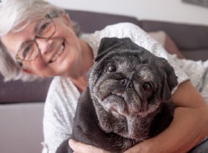 Top 7 Proven Hip & Joint Supplements for Dogs: Expert‑Chosen & Vet‑Recommended