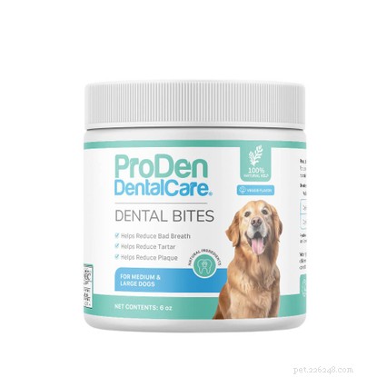 6 tratamentos dentários comprovados para cães para um sorriso saudável 
