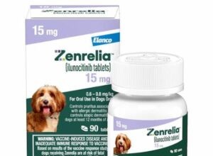 8 Essential Signs Your Dog May Have Skin Allergies – Spot Them Early