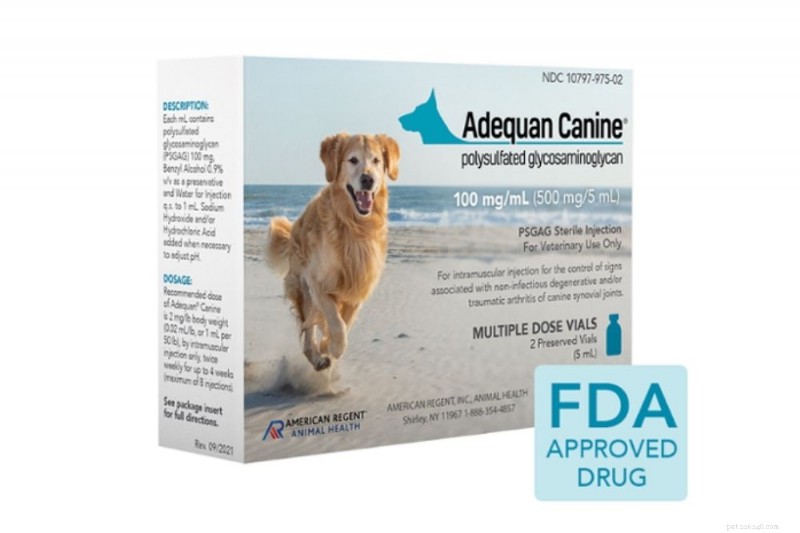Injections contre l arthrite canine :comment elles soulagent la douleur et améliorent la mobilité 