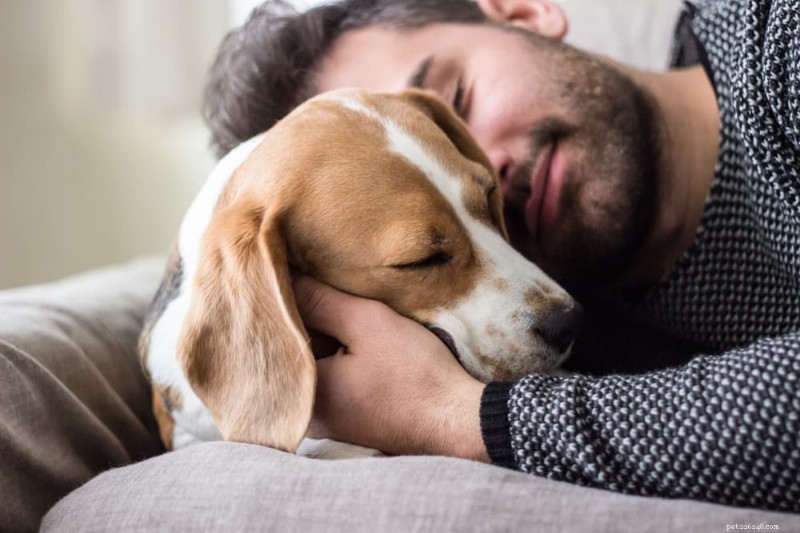 Chirurgia TPLO per cani:ripartizione dei costi, dettagli della procedura e aspettative di recupero 