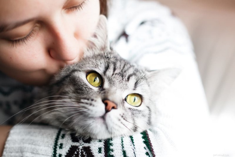 Guida esperta al sollievo naturale dal dolore per i gatti 