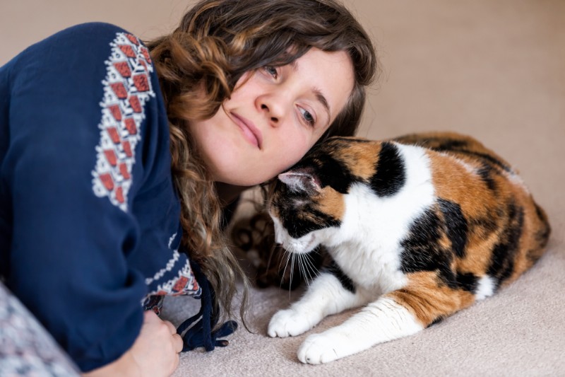 Vad är en katthuvudstöt? Avkoda meningen bakom ditt kattdjurs milda nuzzles 
