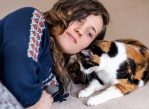 What Is a Cat Headbutt? Decoding the Meaning Behind Your Feline’s Gentle Nuzzles