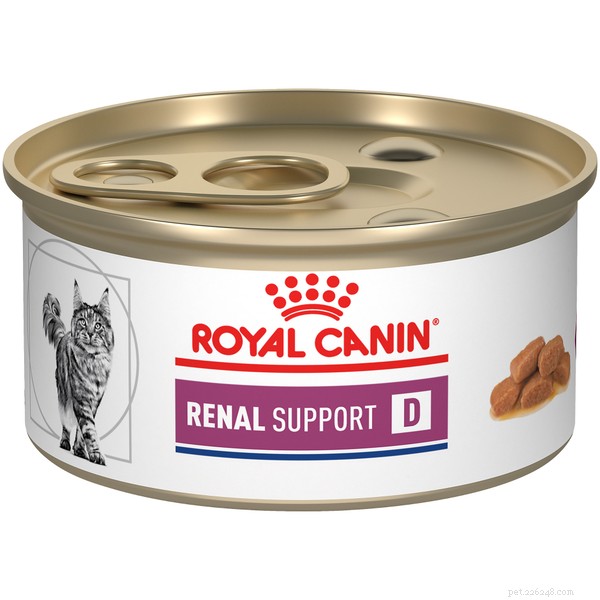 I 4 migliori alimenti per gatti per sostenere la salute dei reni 