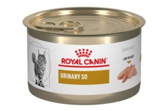 Top 5 Vet-Approved Urinary Health Diets for Cats