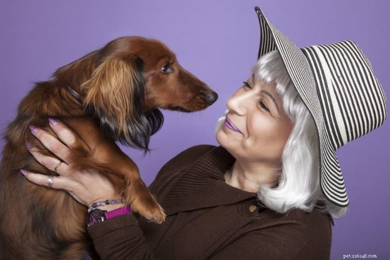 Noms d animaux intemporels :111 noms de chiennes classiques 