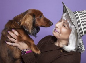 Timeless Pet Names: 111 Classic Female Dog Names