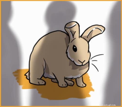 Pourquoi les lapins sont des animaux de compagnie idéaux pour les introvertis :7 raisons impérieuses 