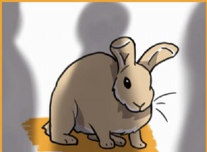 Why Rabbits Make Ideal Pets for Introverts: 7 Compelling Reasons