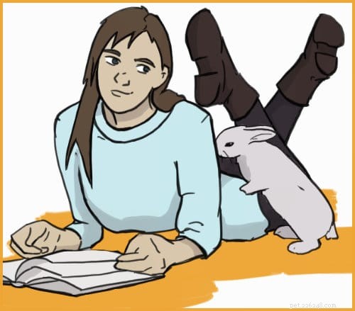 Pourquoi les lapins sont des animaux de compagnie idéaux pour les introvertis :7 raisons impérieuses 