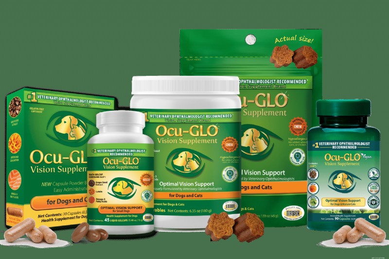 2026 年獣医師推奨のトップ犬サプリメント:関節、視力、長寿を促進 