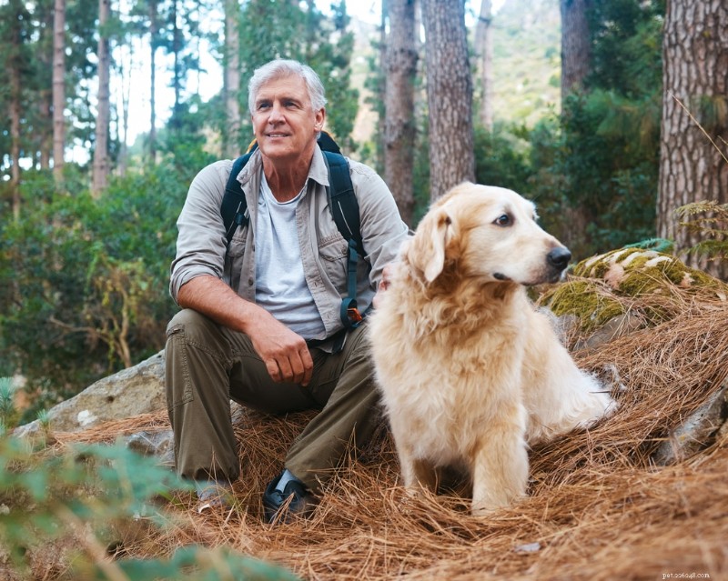 Comment posséder un chien améliore la santé physique et mentale :la science derrière la longévité 