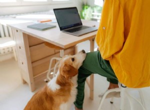 How to Calm Your Dog s Attention-Seeking Whines