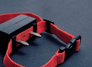 The Risks of E‑Collar Dog Training: Why It’s Not Recommended