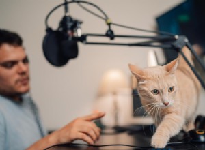 Effective Cat Discipline: Positive, Natural Training Techniques