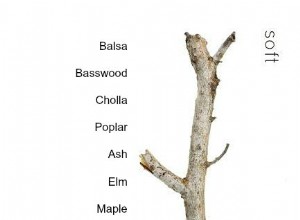 Expert Guide to Parrot Perch Selection & Care for Happy, Healthy Feet