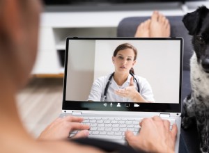 Choosing Telemedicine for Your Pet: When It’s the Right Option