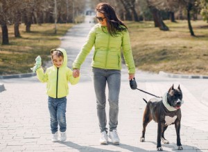 Spring Dog Walking Guide: Leash Laws, Park Etiquette & Outdoor Safety