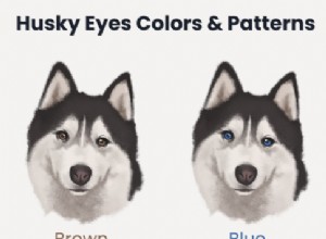 Siberian Husky Eye Colors: Complete Guide with Images