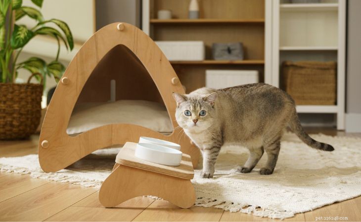 정형외과용 고양이 그릇에 대한 최종 가이드:이점 및 올바른 그릇을 선택하는 방법 