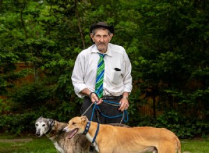 Richard Rosenthal: The Dog Lawyer Championing Animal Rights