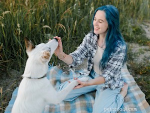 Repérer les déclencheurs de traumatismes de votre chien et utiliser un dressage sans peur pour rétablir le calme 