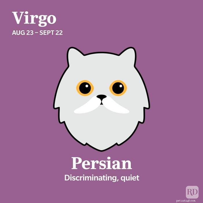 Combine o seu signo do zodíaco com a raça de gato ideal 