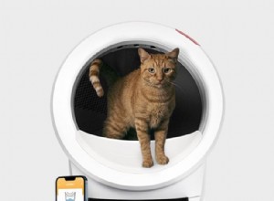 Whisker Litter‑Robot 4: Is the $700 Investment Worth It? A Comprehensive Review