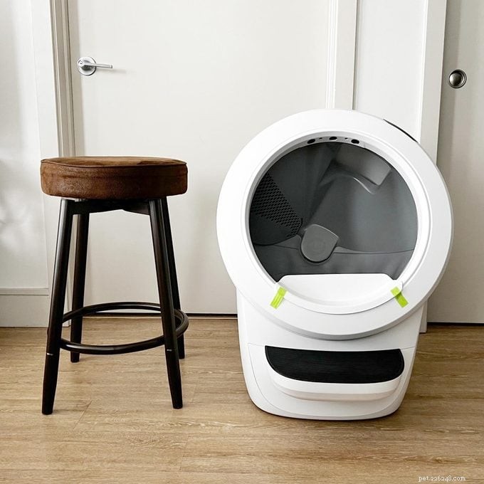 Whisker Litter‑Robot 4:700 ドルの投資はそれだけの価値がありますか?包括的なレビュー 