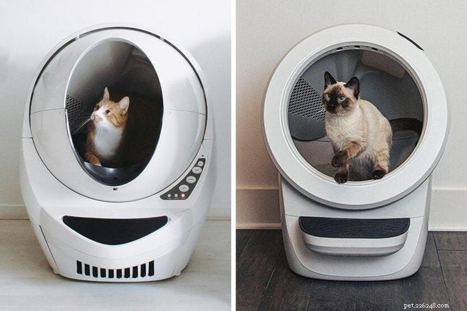 Whisker Litter‑Robot 4:700 ドルの投資はそれだけの価値がありますか?包括的なレビュー 
