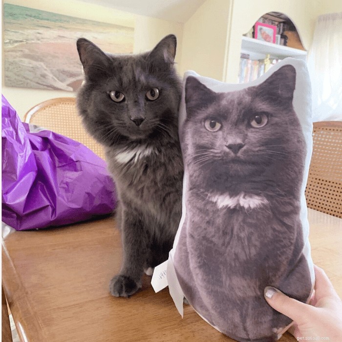 猫愛好家や猫ファンへのマストアイテム 48 個のギフト:スタイリッシュなアクセサリー、居心地の良いベッド、インタラクティブなおもちゃ 
