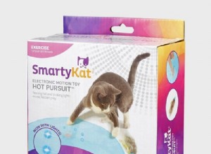 15 Proven Interactive Cat Toys That Keep Your Feline Engaged and Happy