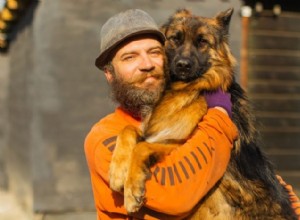 Heartwarming Rescue Dog Stories: Top 5 Videos for National Rescue Dog Day