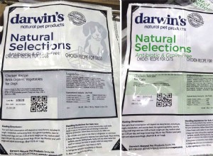 FDA Announces Major Dog Food Recalls: What Pet Owners Need to Know