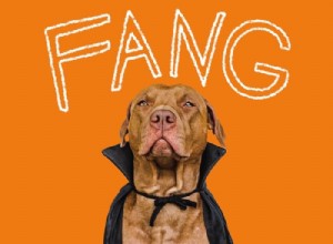 215+ Creative Dog Names That Reflect Your New Pup’s Personality