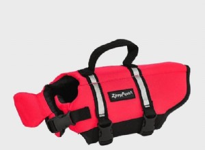 Top 6 Dog Life Jackets for Safer Water Adventures