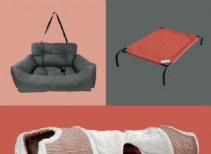 Must‑Have Wayfair Pet Essentials: 13 Products You Didn’t Know You Needed