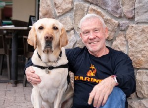 How Blue the Golden Retriever Rescued a Veteran with PTSD