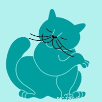 ヴィーナス – 愛する家を探しているスコティッシュフォールド