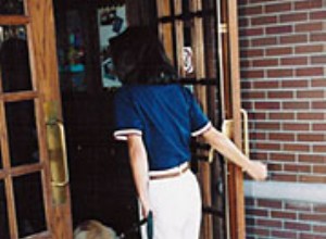 안내견 팀을 위한 8가지 필수 에티켓 규칙 