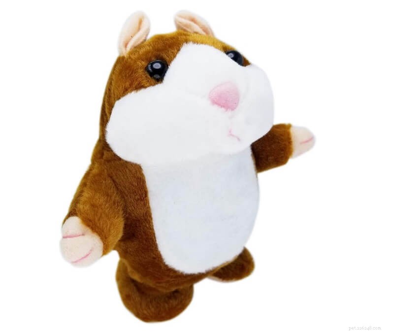 15 presentes atenciosos para amantes de hamsters e seus amigos peludos 