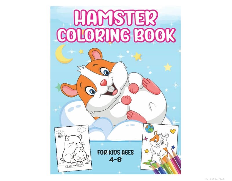 15 presentes atenciosos para amantes de hamsters e seus amigos peludos 